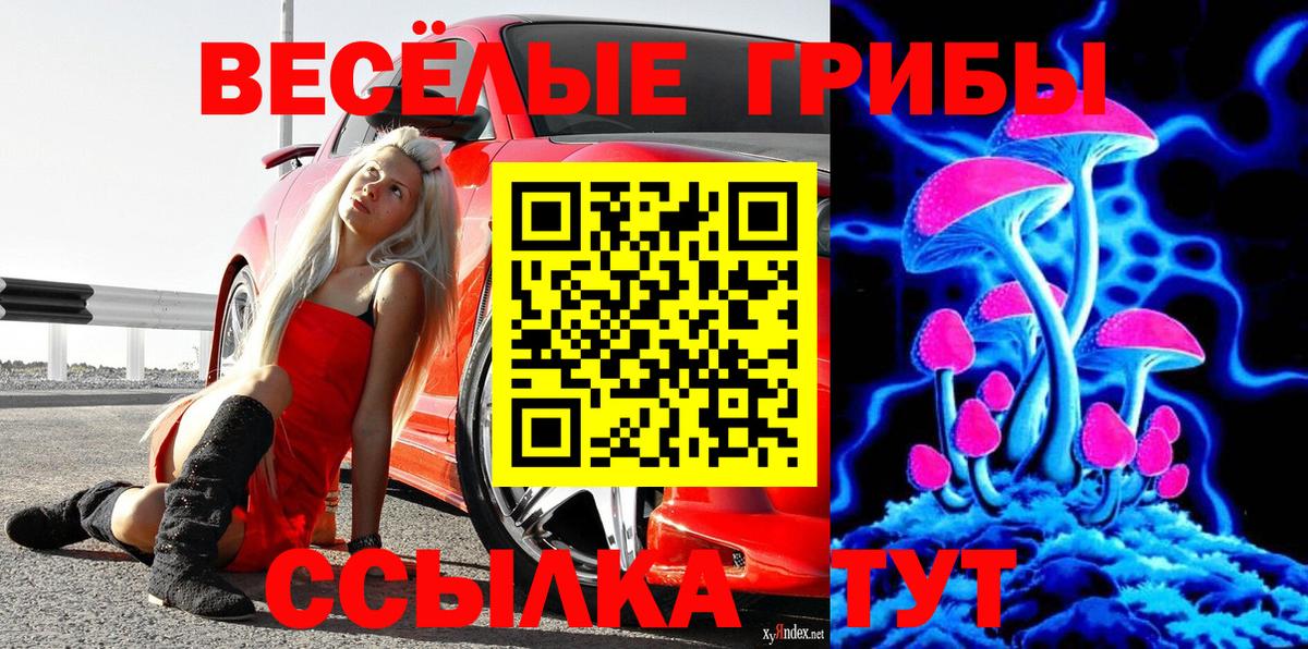 Галлюциногенные грибы GOLDEN TEACHER Донецк