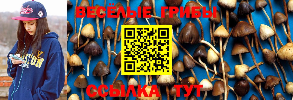 Галлюциногенные грибы MAGIC MUSHROOMS  Вход с VPN  Псилоцибиновые грибы Psilocybe  Донецк 